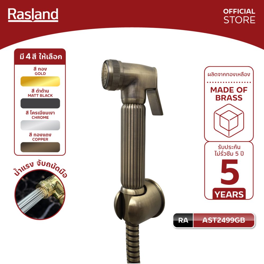AW-OnlineShop-RA AST2499GB_01
