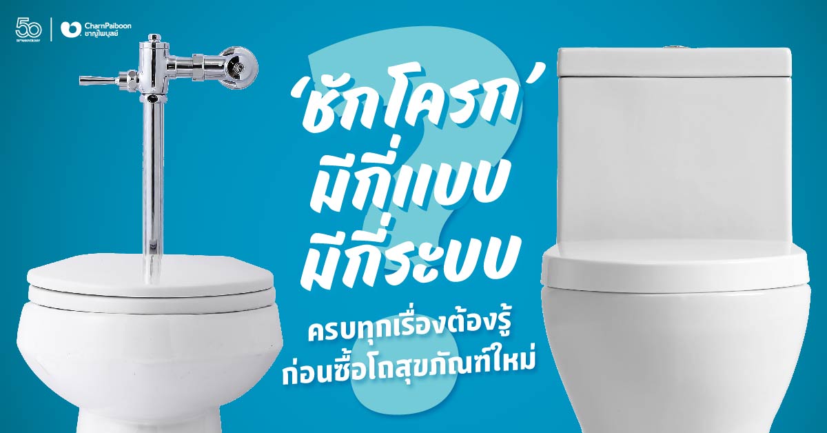 types-of-toilet-flush