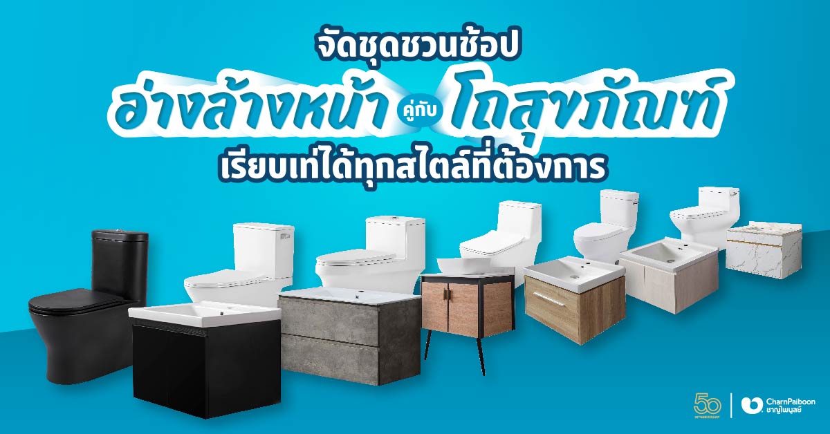 basin-and-flush-toilet-set