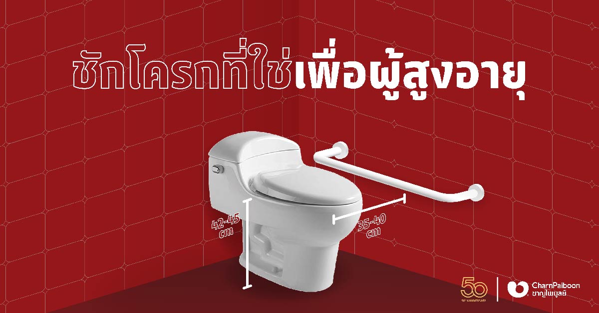 flush-toilet-for-elder