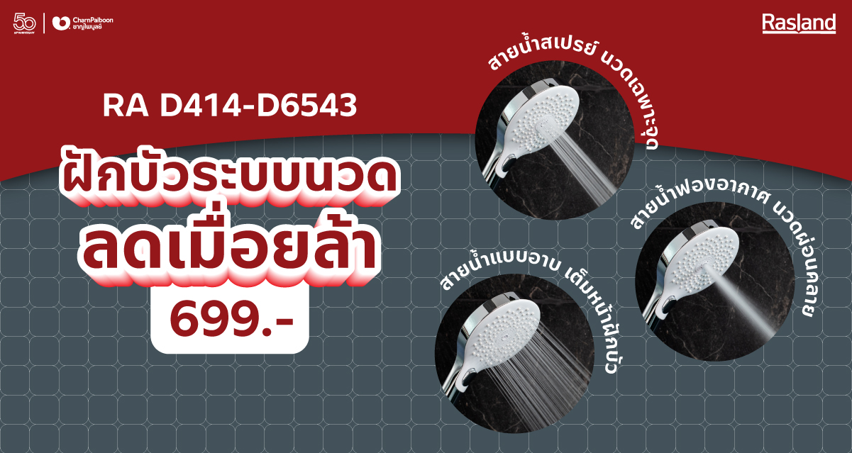 RA-D414-D6543-massage-headshower